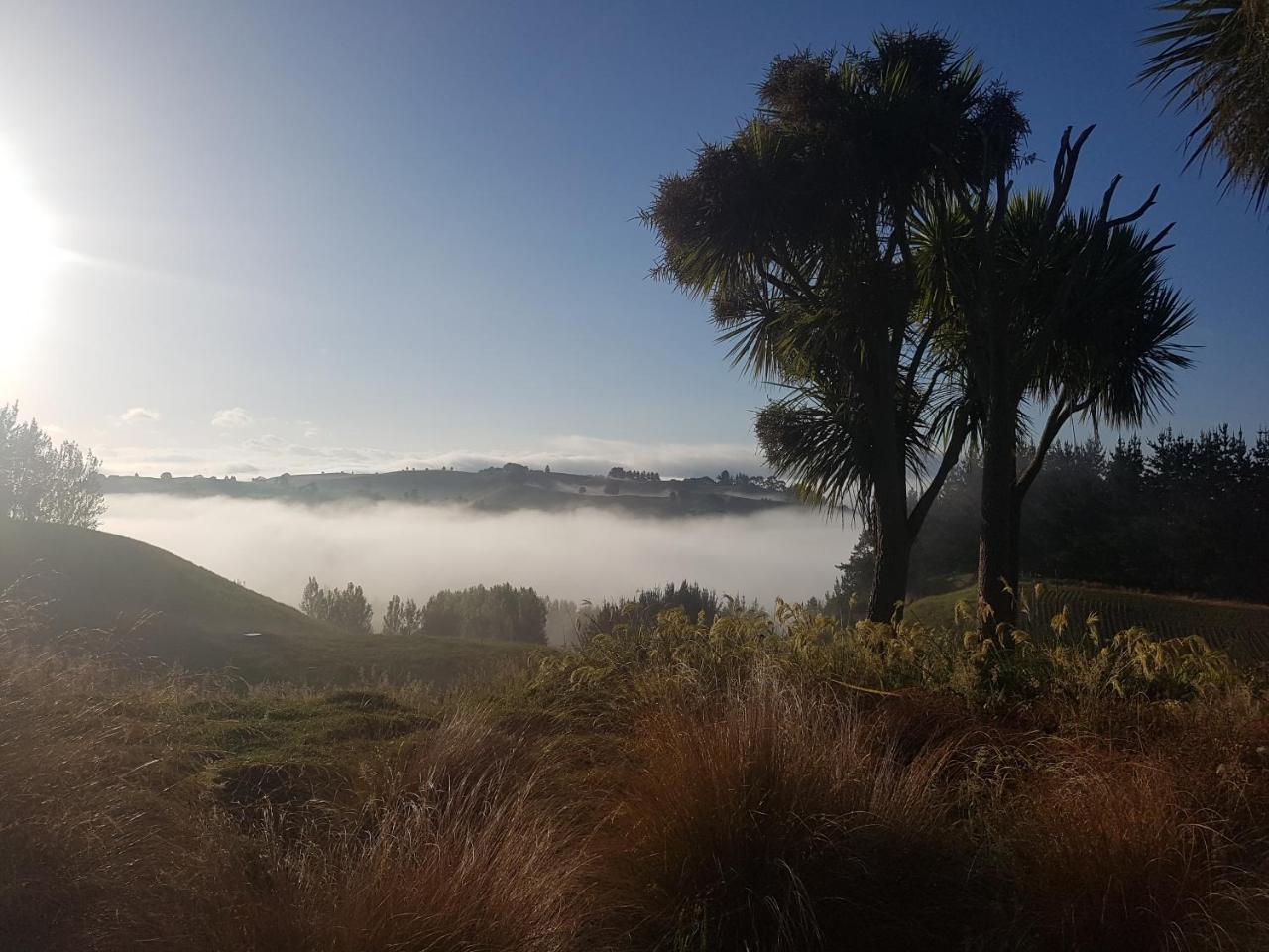 Above The River Karapiro Bed & Breakfast Kültér fotó