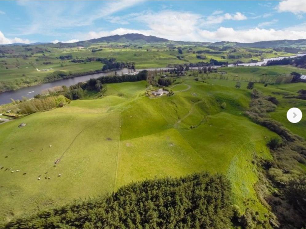 Above The River Karapiro Bed & Breakfast Kültér fotó